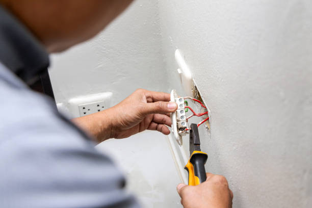 Best Electric Panel Repair  in Buena Vista, VA